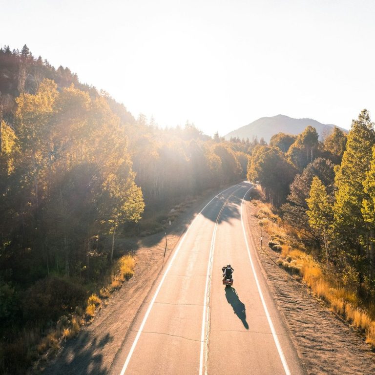 SchöpfungsWeg Sonnenaufgang über einem nebligen Wald mit strahlenden Lichtstrahlen.