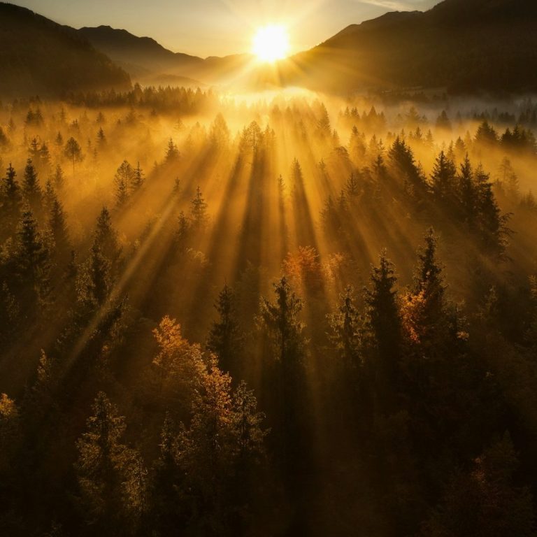 SchöpfungsWeg Sonnenaufgang über einem nebligen Wald mit strahlenden Lichtstrahlen.