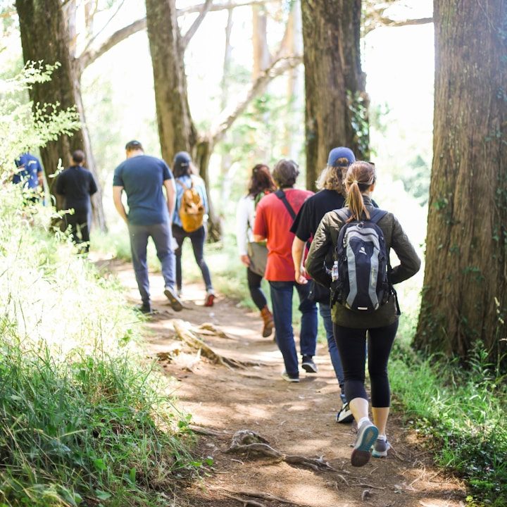 NaturWandeln Gruppe von Personen wandert einen schmalen Pfad durch einen Wald.
